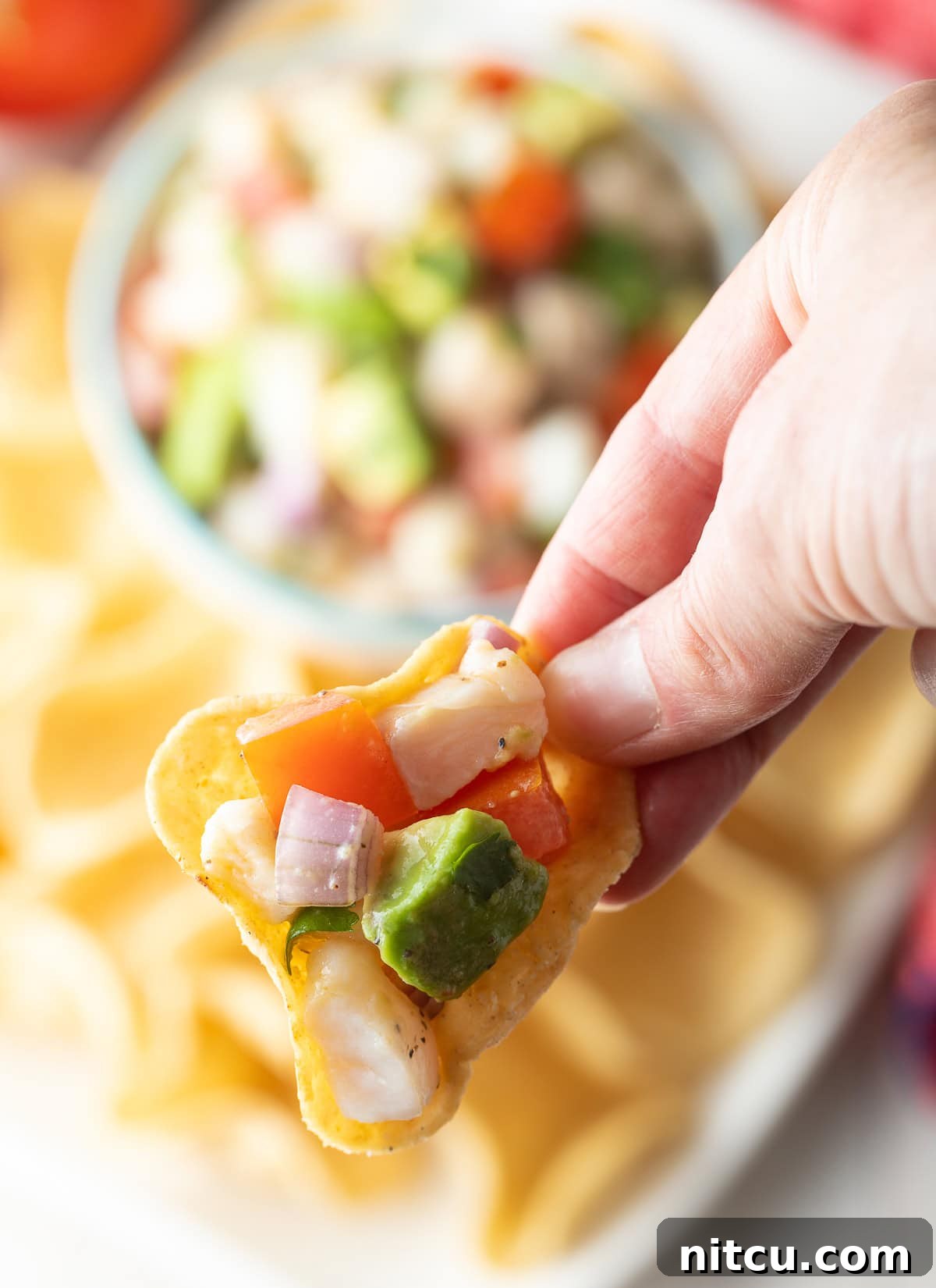 low-carb Ceviche de Pescado on tortilla chip - close up shot