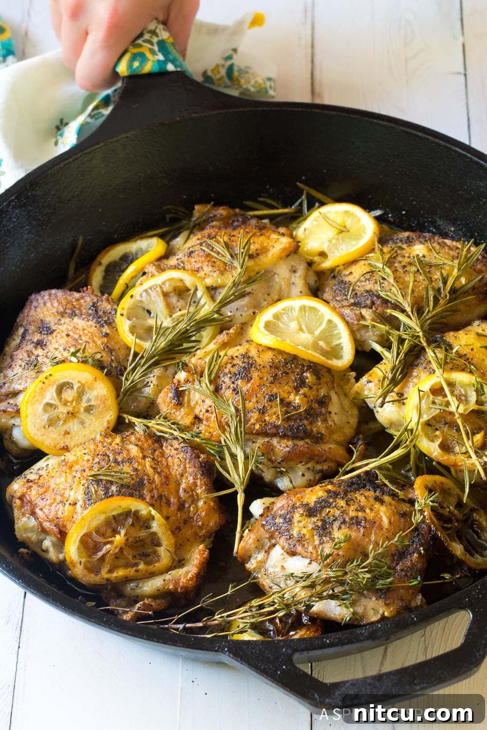 Front facing oven roasted chicken thighs with bright lemon slices and fresh herbs in a rustic cast iron pan, ready to serve.