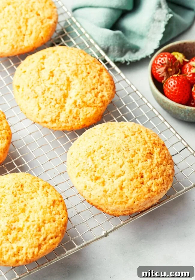 Rustic Strawberry Cornmeal Shortcake 10 Classic Strawberry Shortcake - after baking