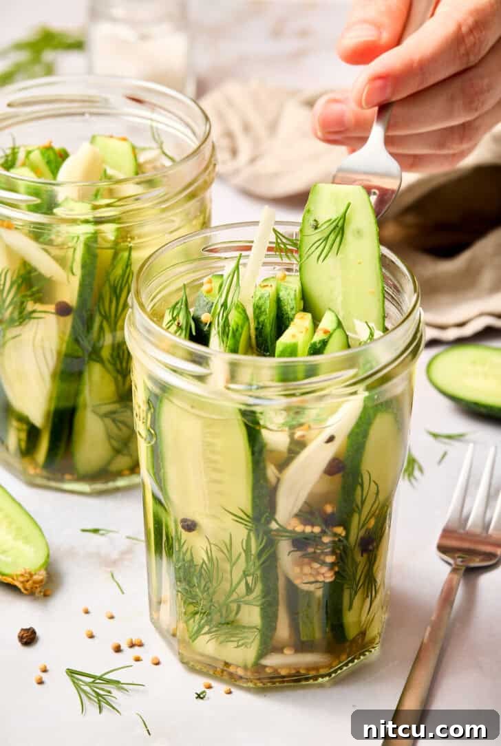 Enjoying Crisp Homemade Refrigerator Dill Pickles Refrigerator Pickles Recipe - dill pickles being picked from the jar by hand, showing their irresistible appeal and crunch