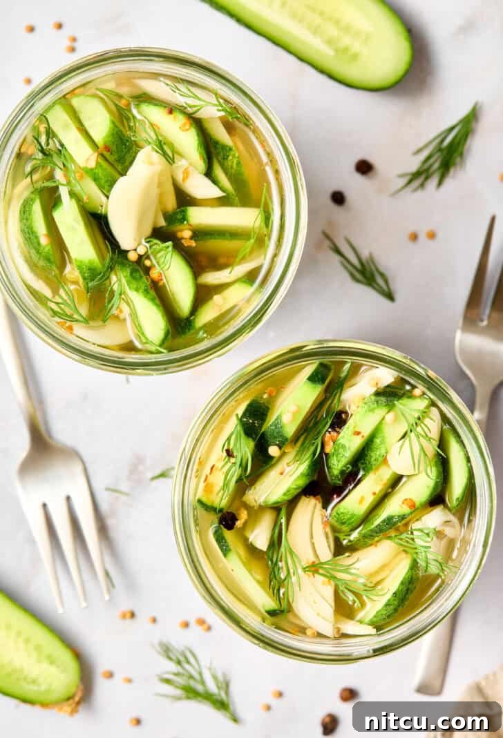 Best Homemade Refrigerator Dill Pickles Recipe for easy, no-canning pickles Refrigerator Pickle Recipe overhead shot of dill pickles in jar, showcasing their vibrant green color and fresh dill sprigs