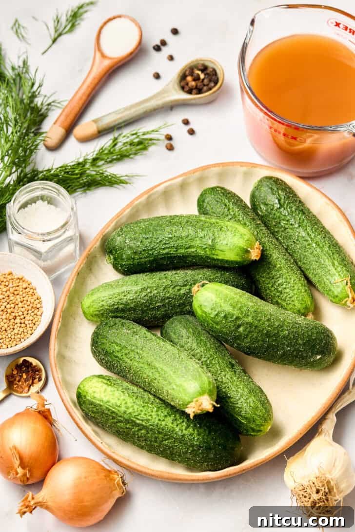 Essential Ingredients for the Best Homemade Refrigerator Pickles How to Make Pickles - homemade dill pickle ingredients with pickling cucumbers, dill, garlic, and various spices laid out