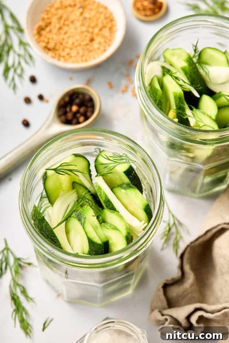 Fast & Fresh Pickles 5 Jarred Pickled Cucumbers - close up of precisely sliced cucumbers and fresh dill packed tightly in a clear glass jar