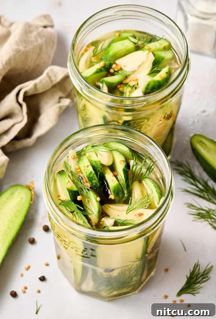 Fast & Fresh Pickles 8 Finished refrigerator dill pickles in a jar, sealed and ready for chilling to develop their perfect taste