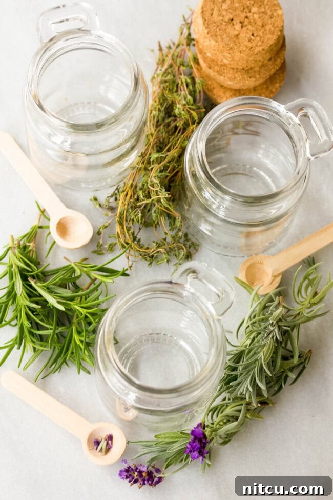 Honey Elixirs 3 Infused Honey - Empty glass jars with fresh herbs placed around them.