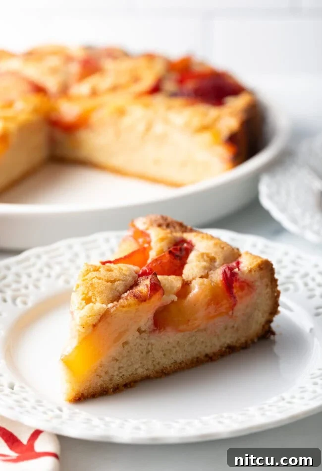 A slice of freshly baked plum cake on a white plate, showcasing the juicy plum slices and golden crumb.