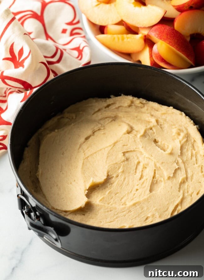 Plum slices arranged neatly on cake batter in a springform pan before baking.