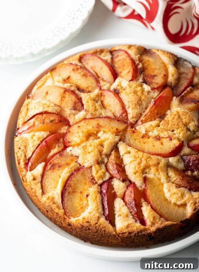 A beautiful slice of fresh plum cake on a white plate, ready for dessert.