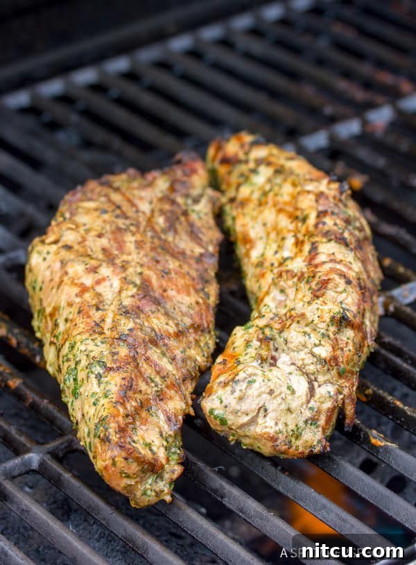 Flame-Kissed Pork Tenderloin with Bright Chimichurri and Rustic Roast Vegetables 9 A perfectly grilled pork tenderloin resting on a gas grill grate, showcasing its beautiful golden-brown exterior and ideal sear achieved with the 7-6-5 method.