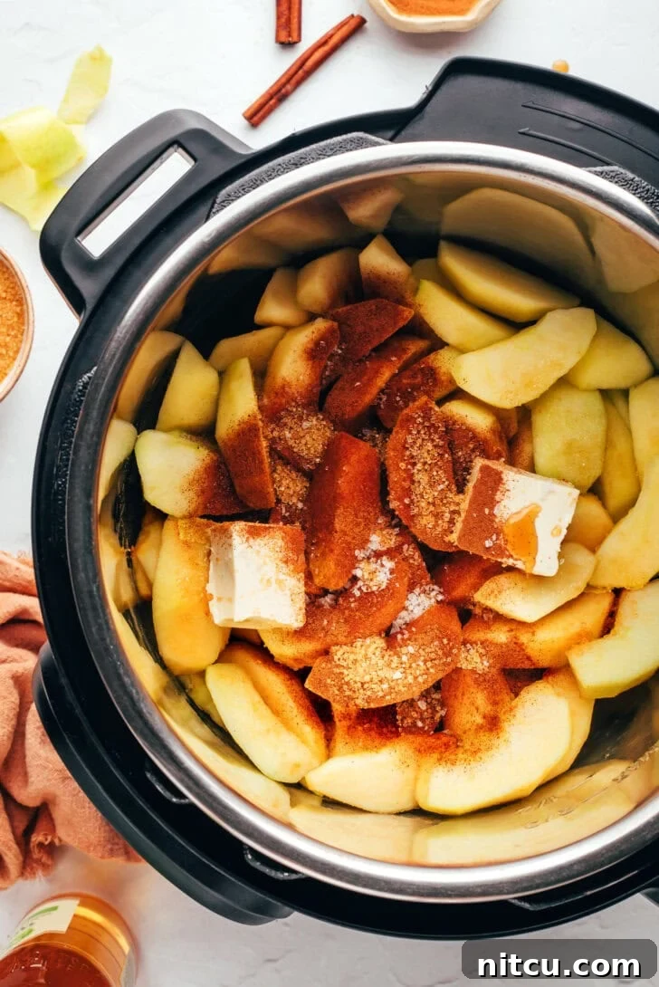 pressure-cooker Ingredients for spiced apples in a pressure cooker