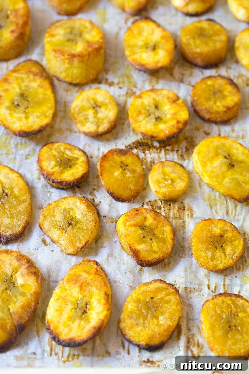 Golden Baked Plantains 5 Close-up of golden-baked plantain slices arranged neatly on a parchment-lined baking sheet, showcasing their tender texture after baking.