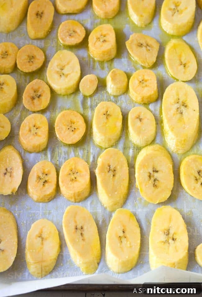 Golden Baked Plantains 6 Raw, sliced plantains arranged in a single layer on a baking sheet before being placed in the oven.