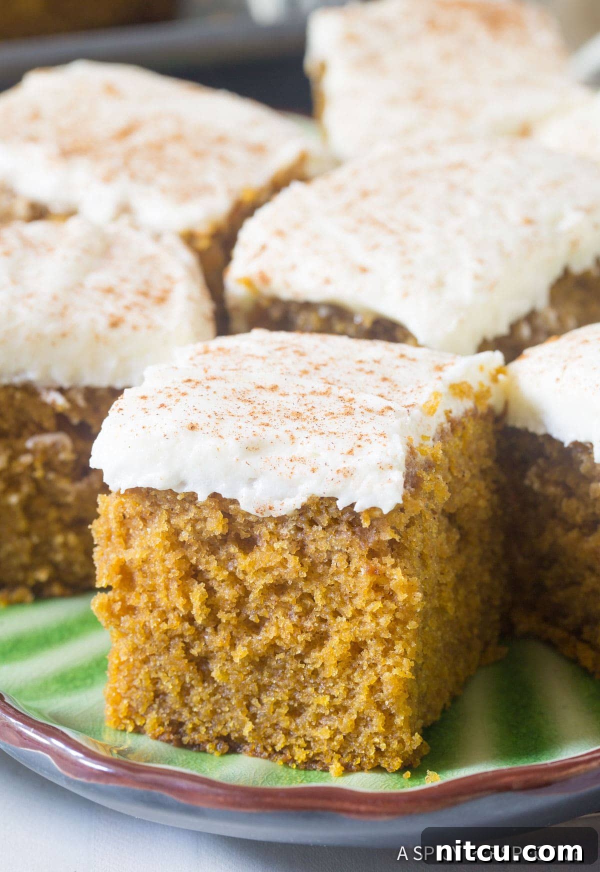 Harvest Pumpkin Slab Cake 2 Close-up shot of a slice of Pumpkin Texas Sheet Cake with Buttermilk Frosting on a plate, showing its moist texture and creamy topping.