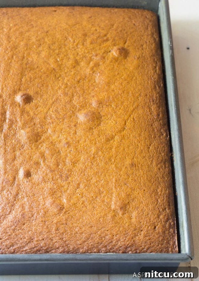 Harvest Pumpkin Slab Cake 7 Creaming butter and sugar in a stand mixer for the Pumpkin Texas Sheet Cake batter.