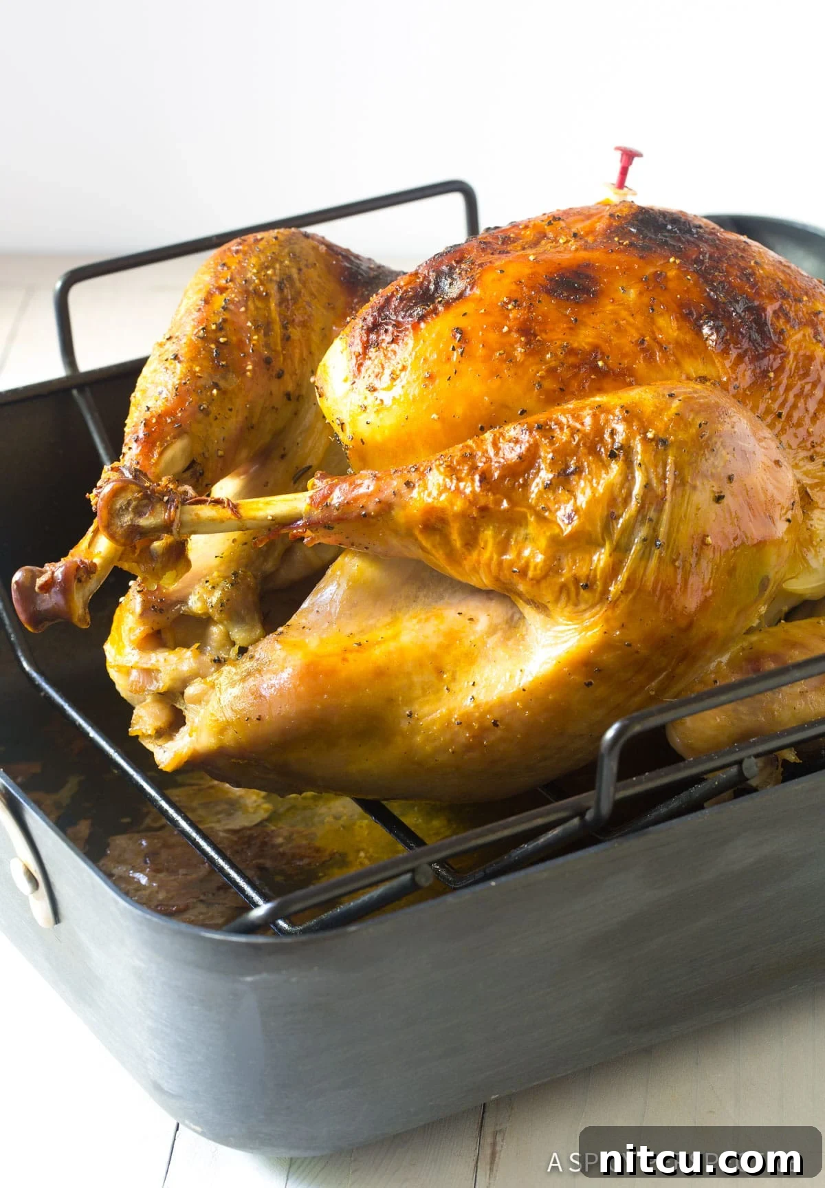 A beautifully oven-baked turkey in a roasting pan, golden brown and ready to be carved.