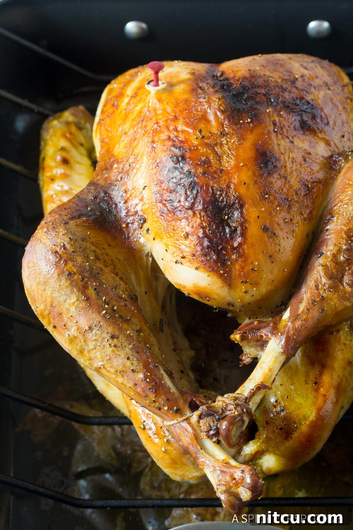 Beautifully roasted turkey in a pan, golden brown and glistening, ready to be served after brining.