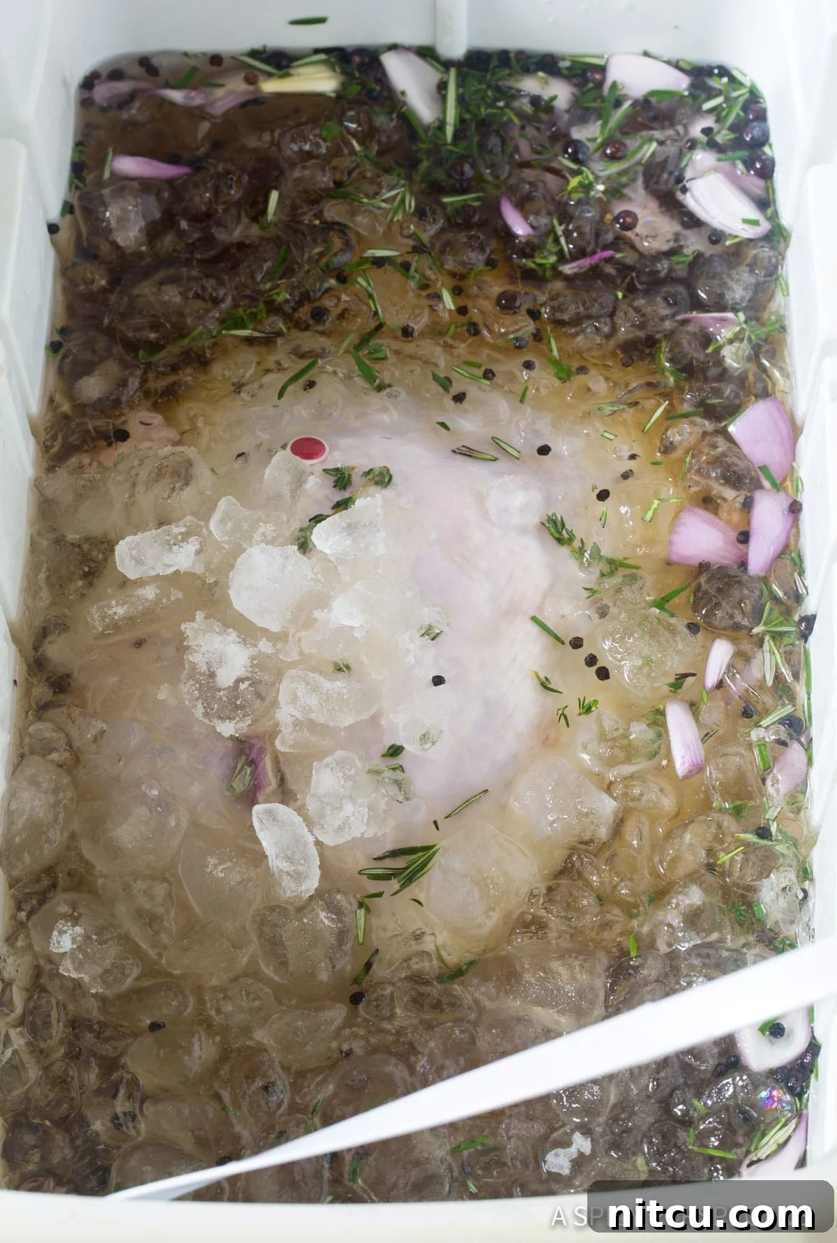 A simple ice and flavor bath for the turkey in a cooler, demonstrating the brining process. (How Long To Brine A Turkey)