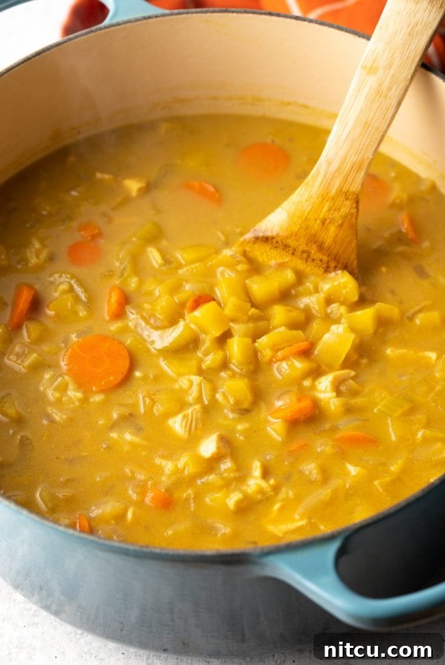 Nourishing Mulligatawny Delight 6 A large pot of soup on the stove, showing the browned ingredients mixed with broth and other liquids, simmering gently.