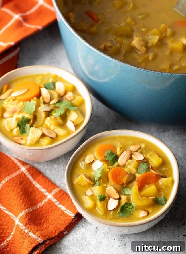 Nourishing Mulligatawny Delight 7 Two steaming bowls of healthy chicken Mulligatawny soup, perfectly garnished.
