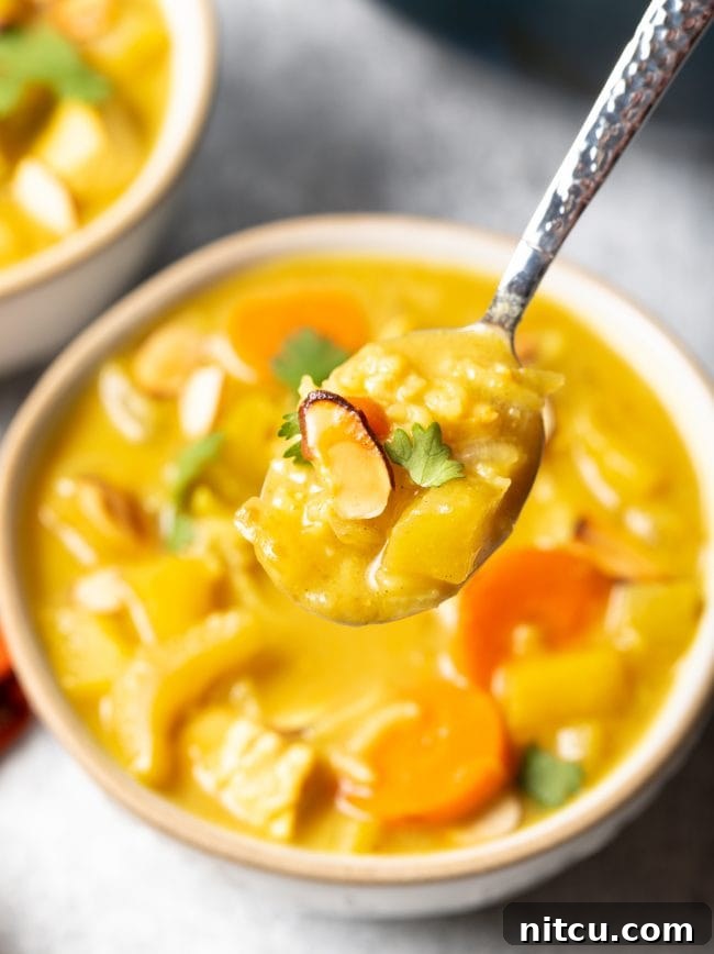 Nourishing Mulligatawny Delight 9 A spoonful of rich chicken curry soup, lifted from the bowl, showing its creamy texture and visible ingredients.