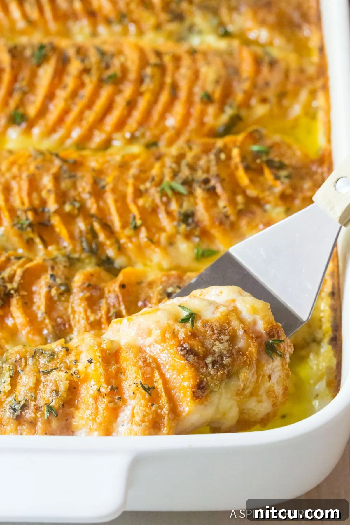 Best Garlic Butter Scalloped Sweet Potatoes Recipe - close up shot of buttery layers