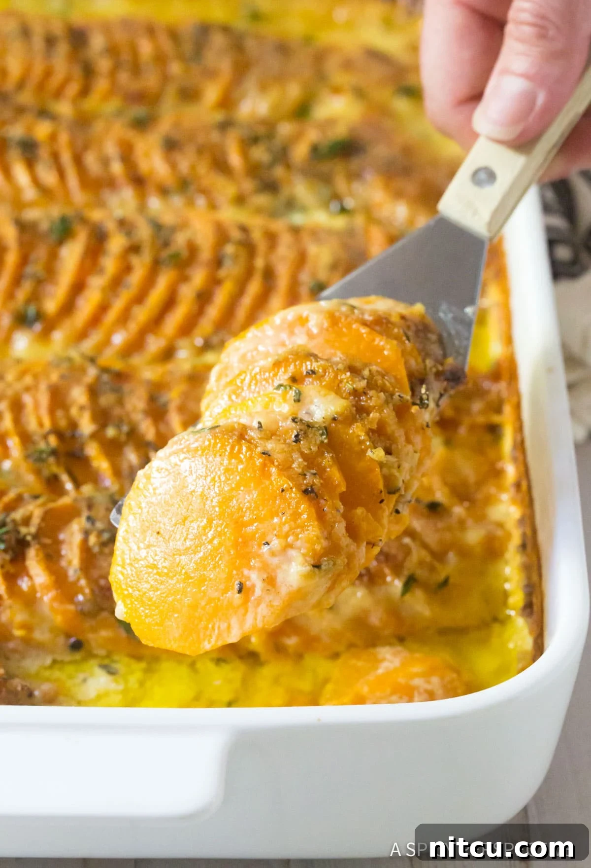 Silky Garlic Butter Scalloped Sweet Potatoes - scooped up with spatula