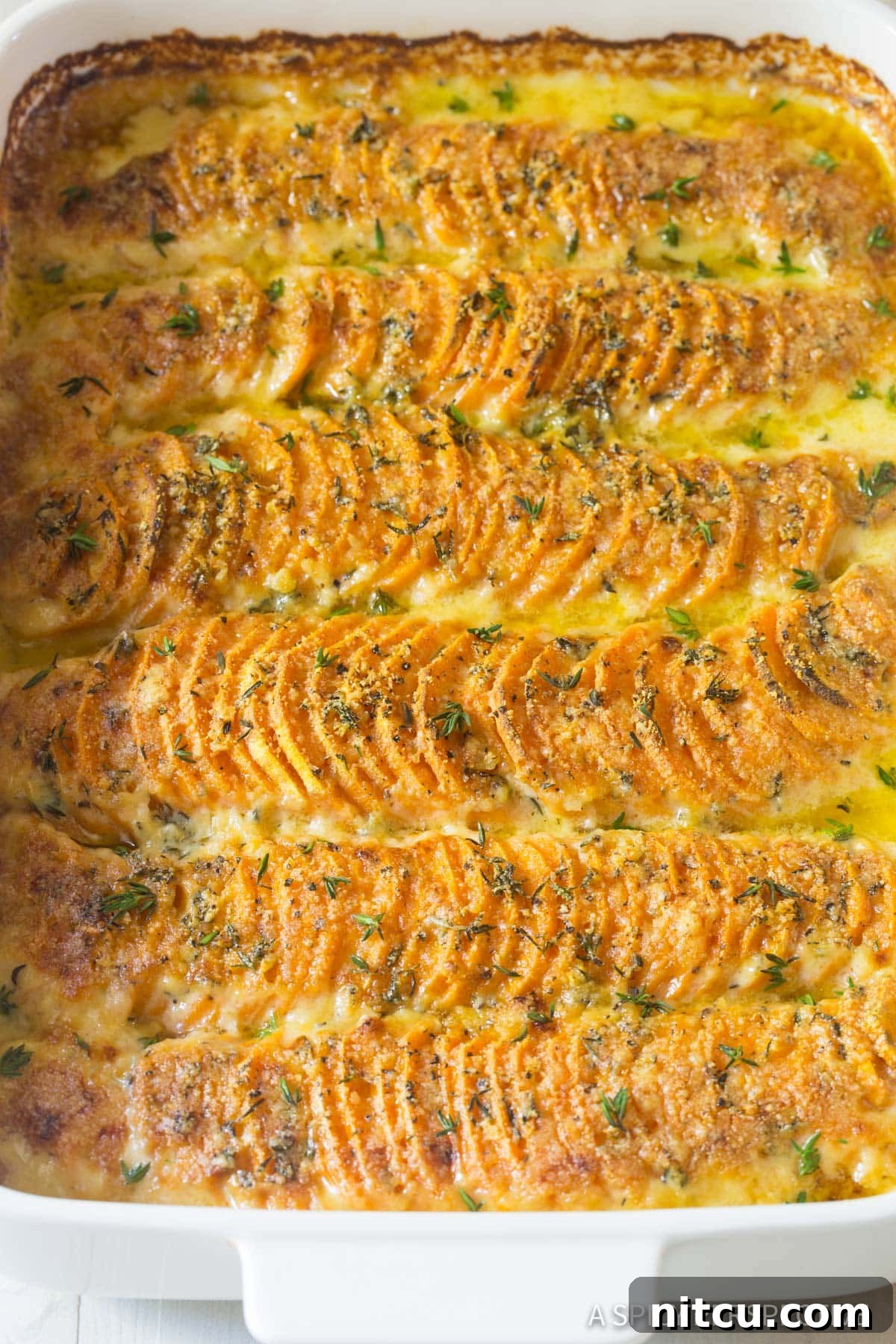 Scalloped Sweet Potato Recipe close up in casserole dish