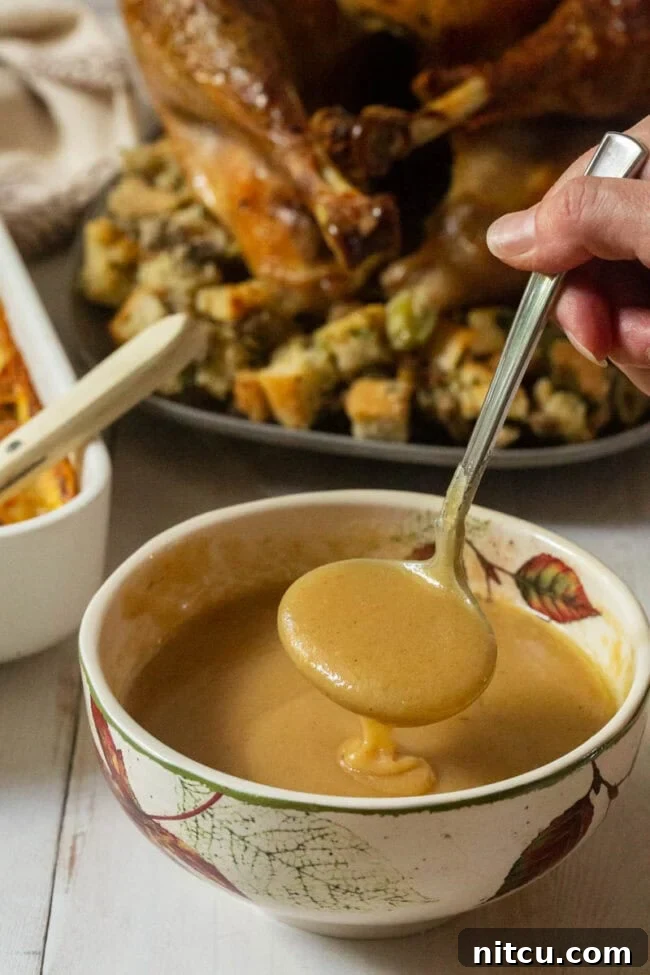 Elevated Turkey Gravy 2 Best Turkey Gravy in gravy boat bowl with ladle.