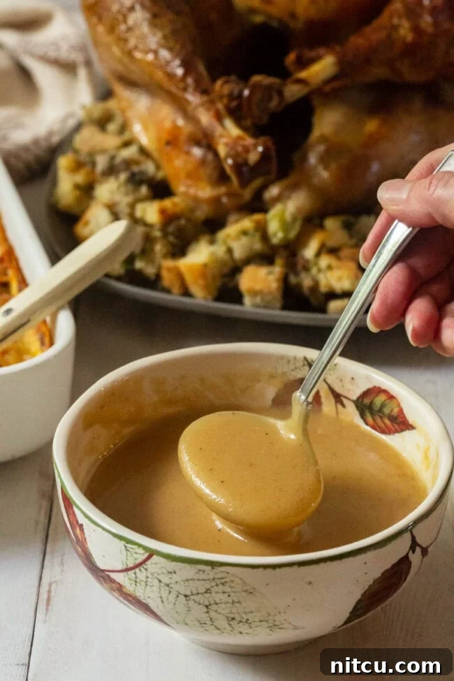 Elevated Turkey Gravy 9 spoonful of homemade gravy