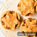 Individual Apple Tarts 12 Best mini apple pie with brandy recipe
