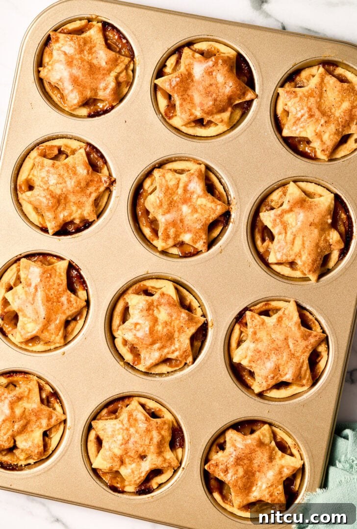 Individual Apple Tarts 8 Baked Mini Apple Pies in a muffin pan, golden brown and ready to cool.