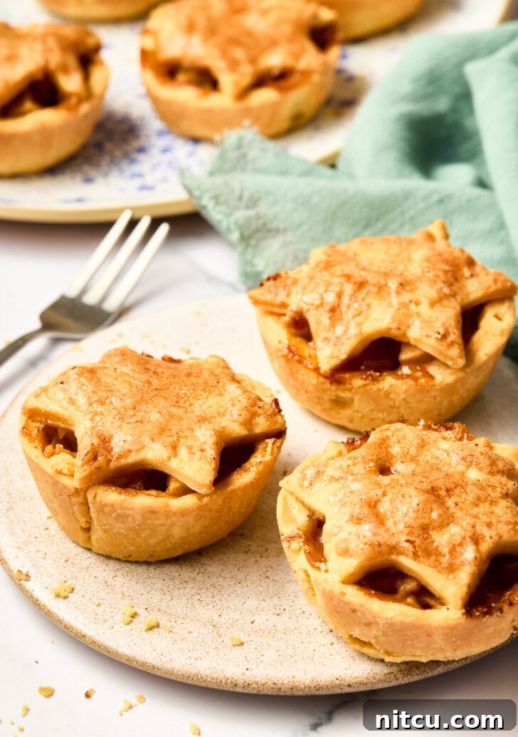Individual Apple Tarts 9 Delicious Mini Apple Pies served on a plate, showcasing their perfect hand-held size.
