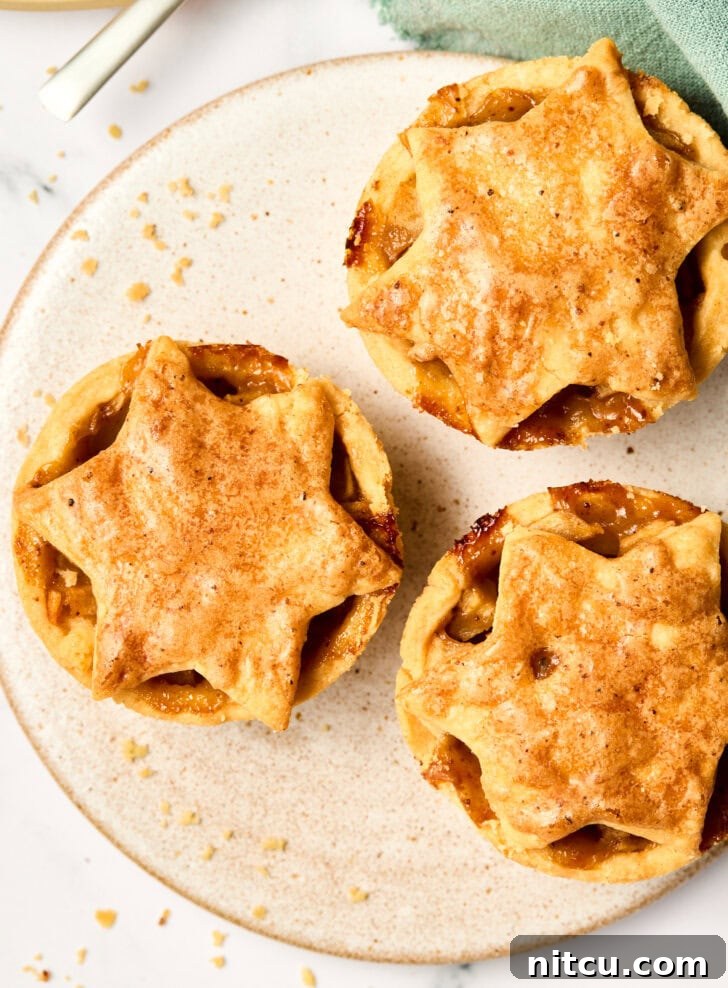 Individual Apple Tarts 10 Best mini apple pie with brandy recipe, showcasing a perfectly baked crust.