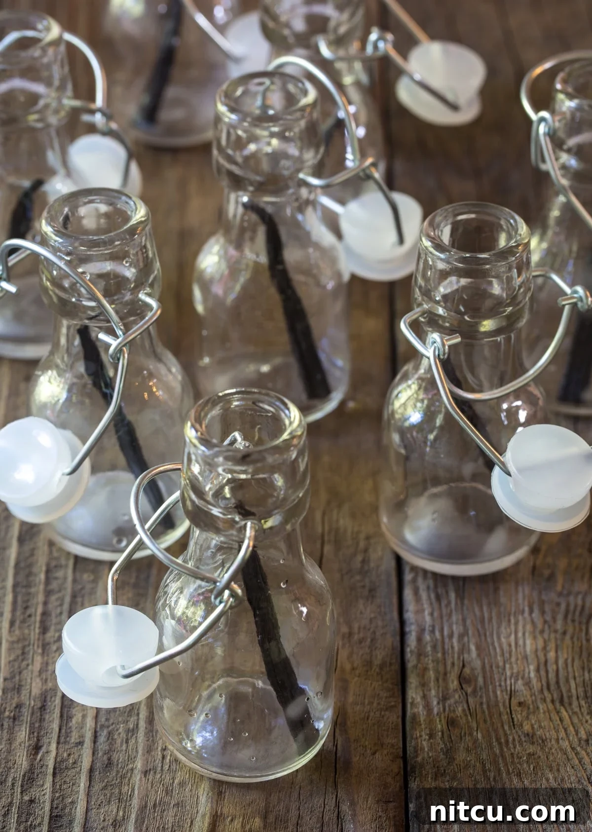 Artisan Bourbon Vanilla Extract 5 Small jars each with a vanilla bean pod inside of them.