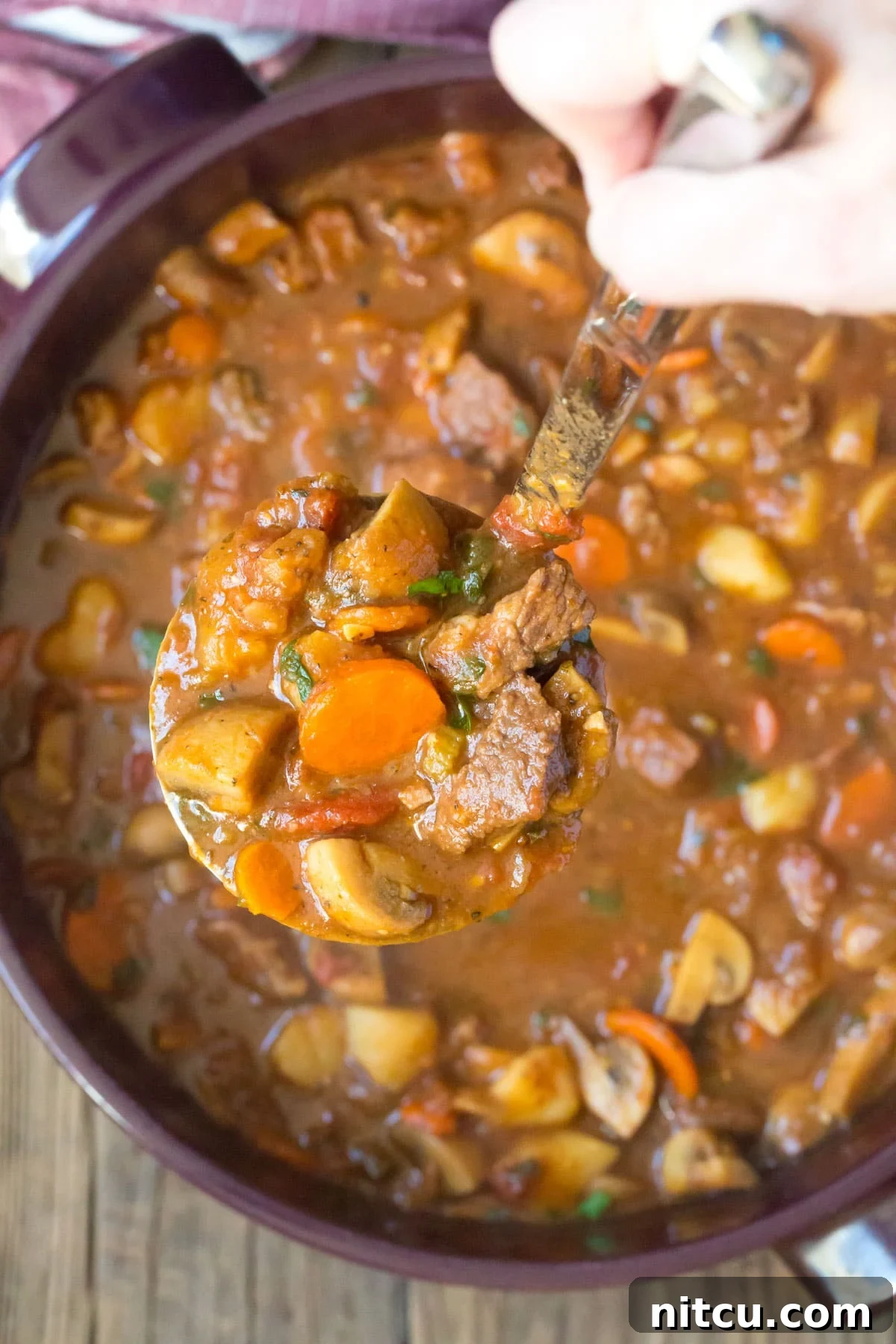 Hearty Beef Stew Perfection 5 A hand holding a ladle, scooping rich, thick beef stew from a large pot.