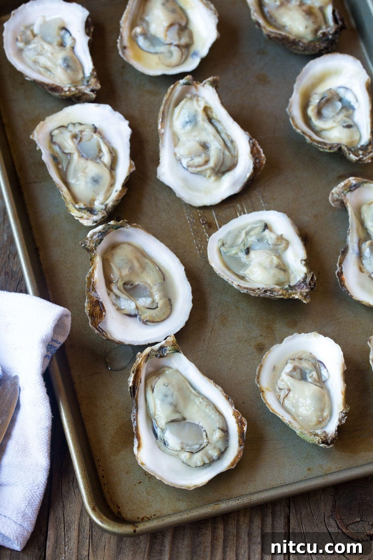Baked Oysters Fromage 4 Cleaned oysters on the half shell arranged neatly on a baking tray, ready for topping