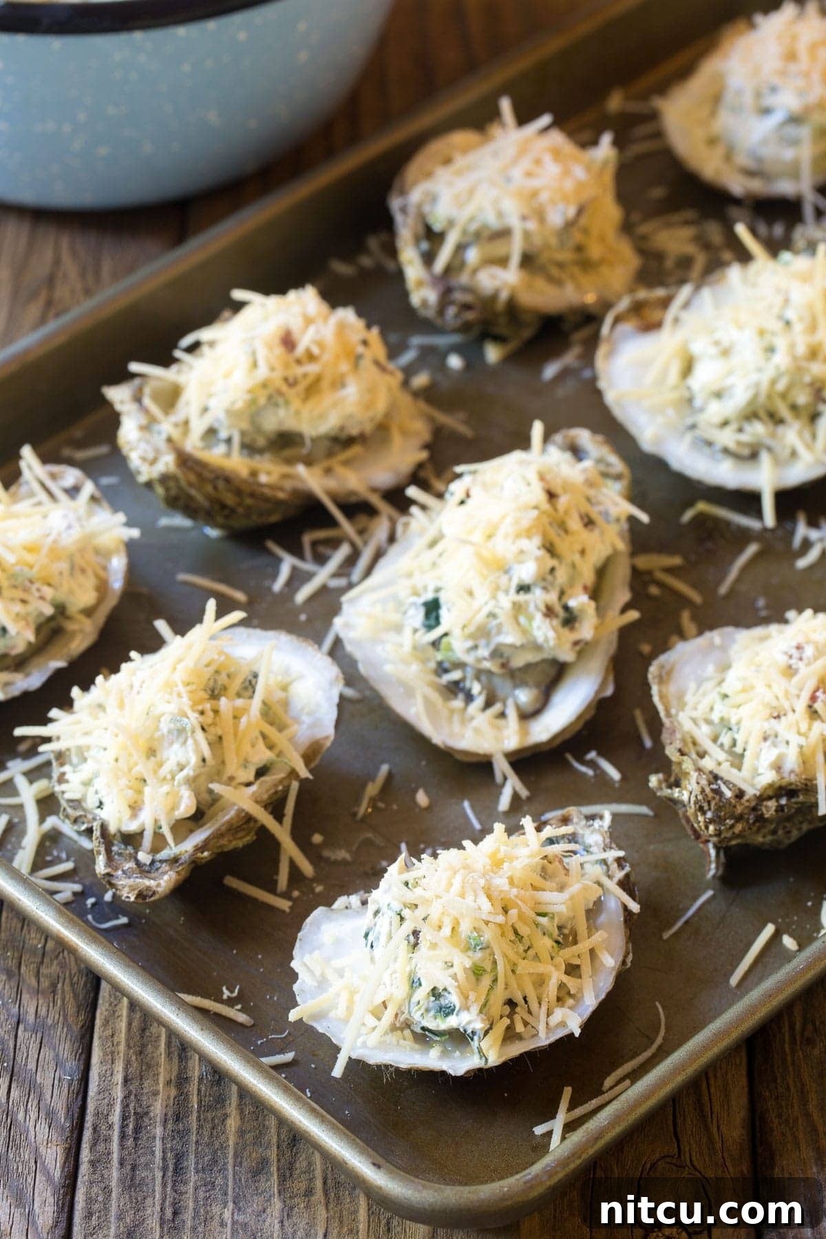 Baked Oysters Fromage 7 A close-up view of freshly prepared baked oysters with a golden melted cheese topping on a tray