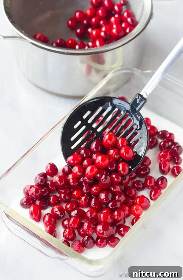 Sparkling Cranberries 7 Brilliant Vanilla Orange Candied Cranberries - Step 3: Coating with sugar