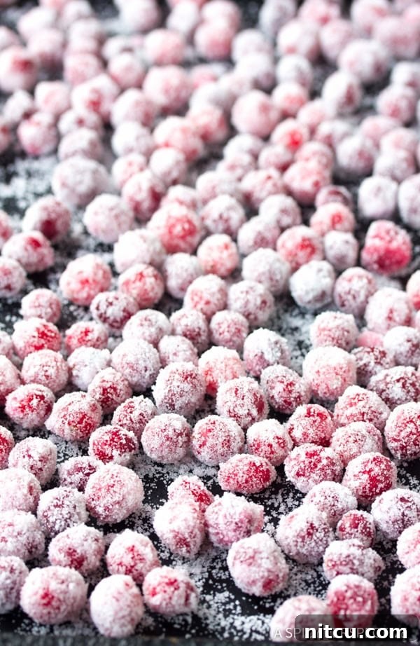 Sparkling Cranberries 8 Dazzling Vanilla Orange Candied Cranberries - Step 4: Drying on a baking sheet