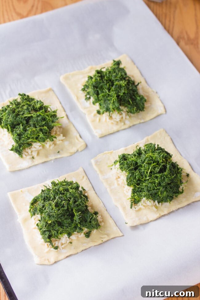 Regal Salmon Pie 6 Puff pastry sheet with a vibrant layer of wilted spinach spread evenly, forming the base for the Salmon Coulibiac filling.