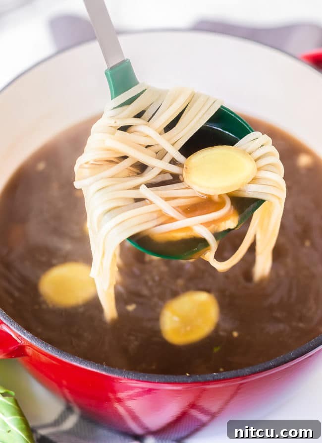 Hearty Chicken Hot Pot 9 Ladle lifting up a heaping serving of broth and noodles.