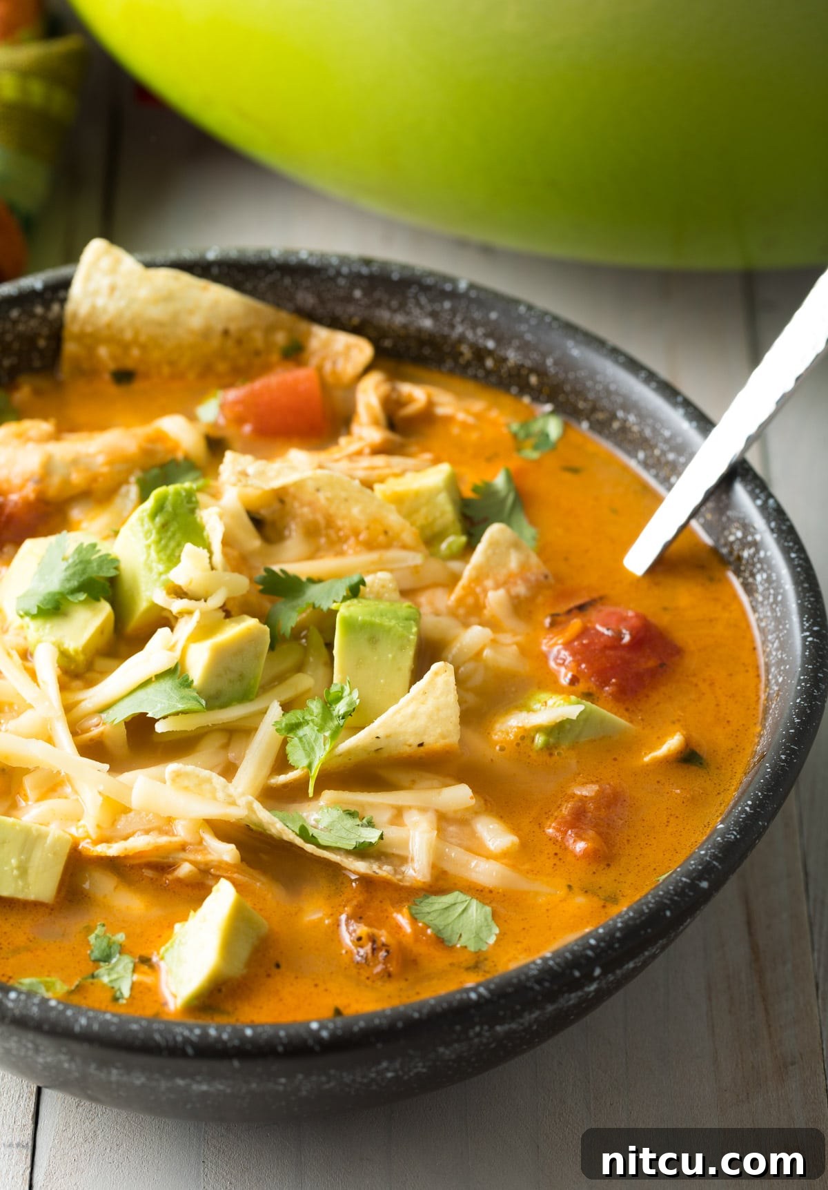 The Best Easy Chicken Tortilla Soup Recipe #ASpicyPerspective #instantpot #slowcooker