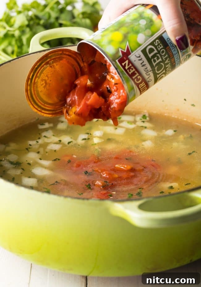 Tortilla Soup Recipe - Add tomatoes to soup