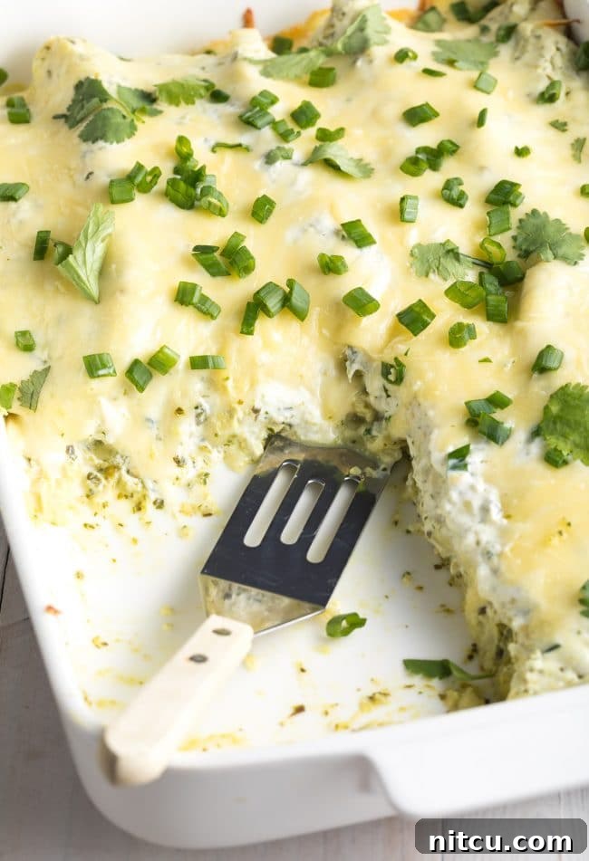 Creamy Swiss Enchiladas 2 Baked enchiladas suizas in a casserole dish, bubbling and golden.