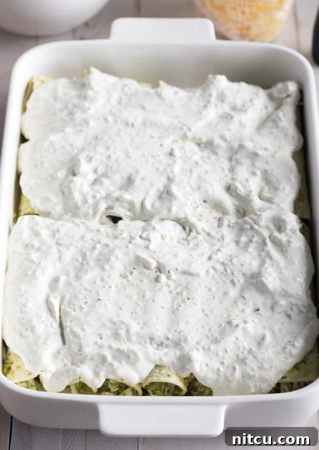Creamy Swiss Enchiladas 11 Enchiladas covered in Suiza Sauce and shredded cheese in a baking dish, ready for the oven.