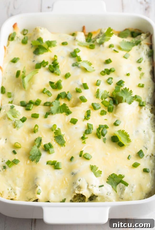 Creamy Swiss Enchiladas 12 Baked Enchilada Suiza in a white pan covered with fresh cilantro and scallion garnish, ready to serve.