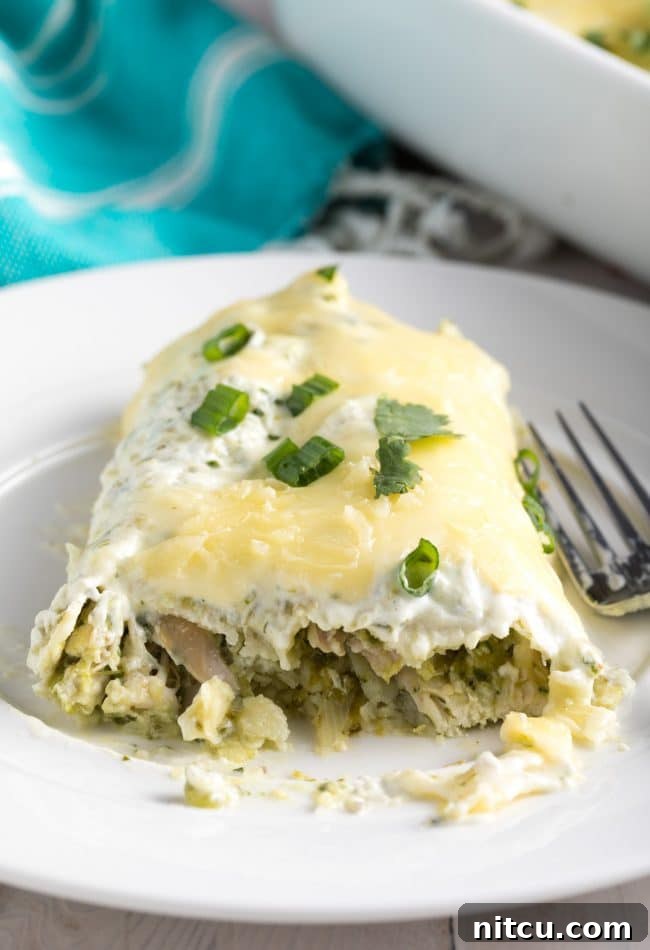 Creamy Swiss Enchiladas 15 Creamy chicken enchiladas cut in half so that you can see the inside, showing layers of chicken, cheese, and sauce.