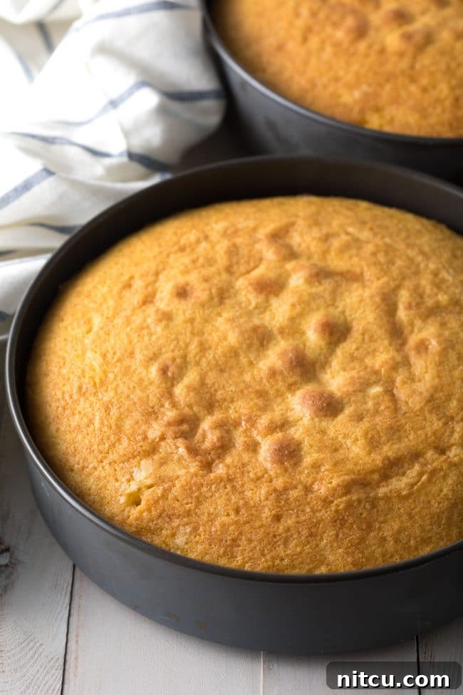 Two perfectly baked lemon buttermilk cake layers cooling in their pans, showcasing their golden-brown tops and even rise.