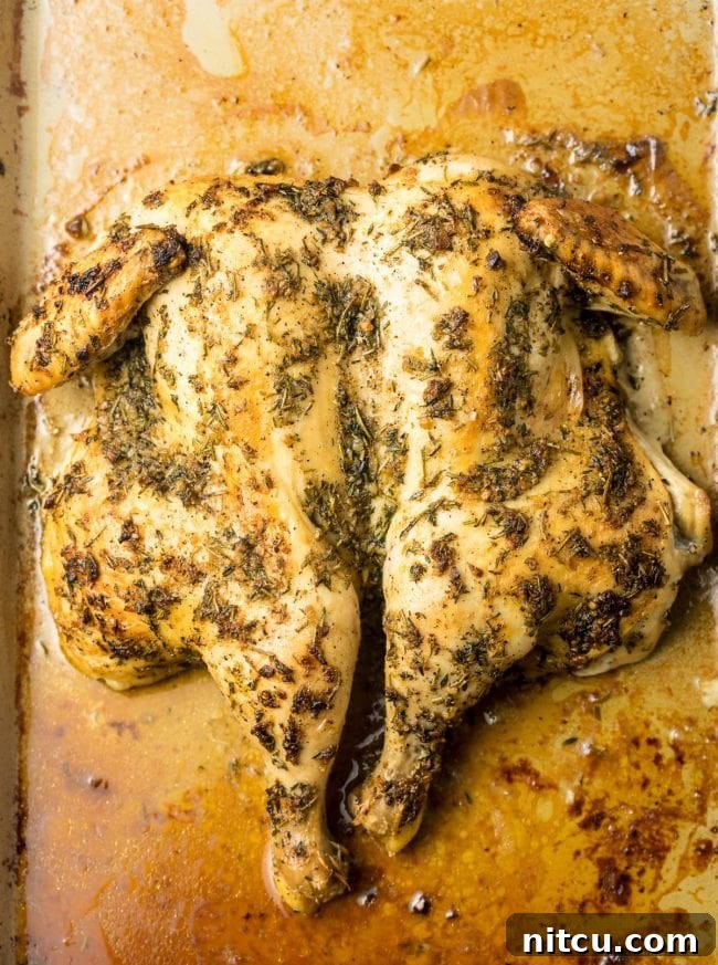 Spatchcocking Chicken Made Simple 2 How To Spatchcock Chicken In 3 Steps: Garlic Herb Roast Chicken Recipe
