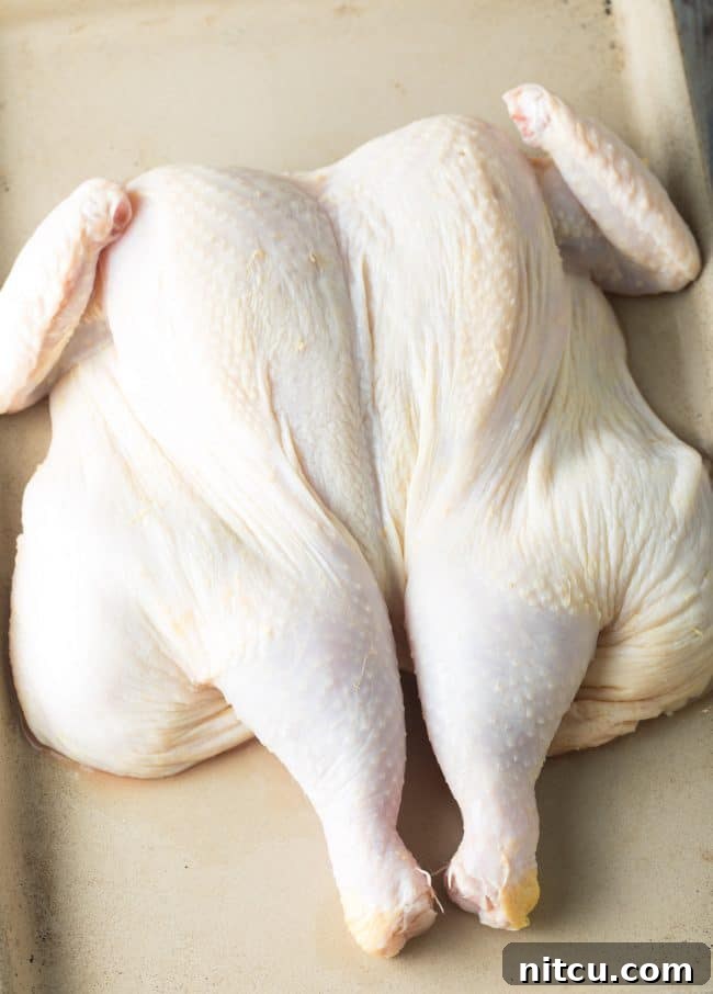 Spatchcocking Chicken Made Simple 10 Step 3: Perfectly Trimmed Wings on a Spatchcocked Chicken